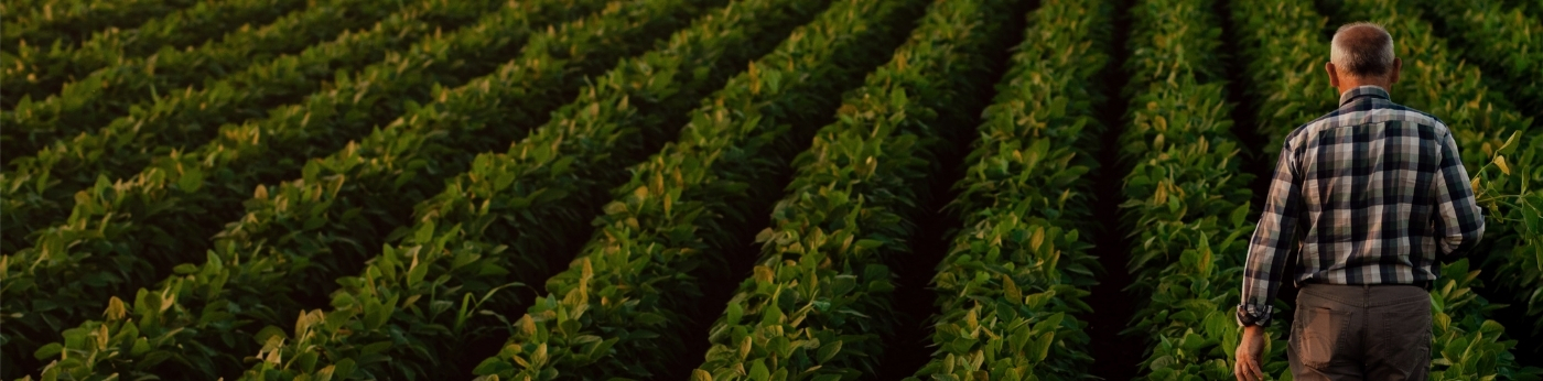 Agricultural Chemicals Regulatory Newsletter