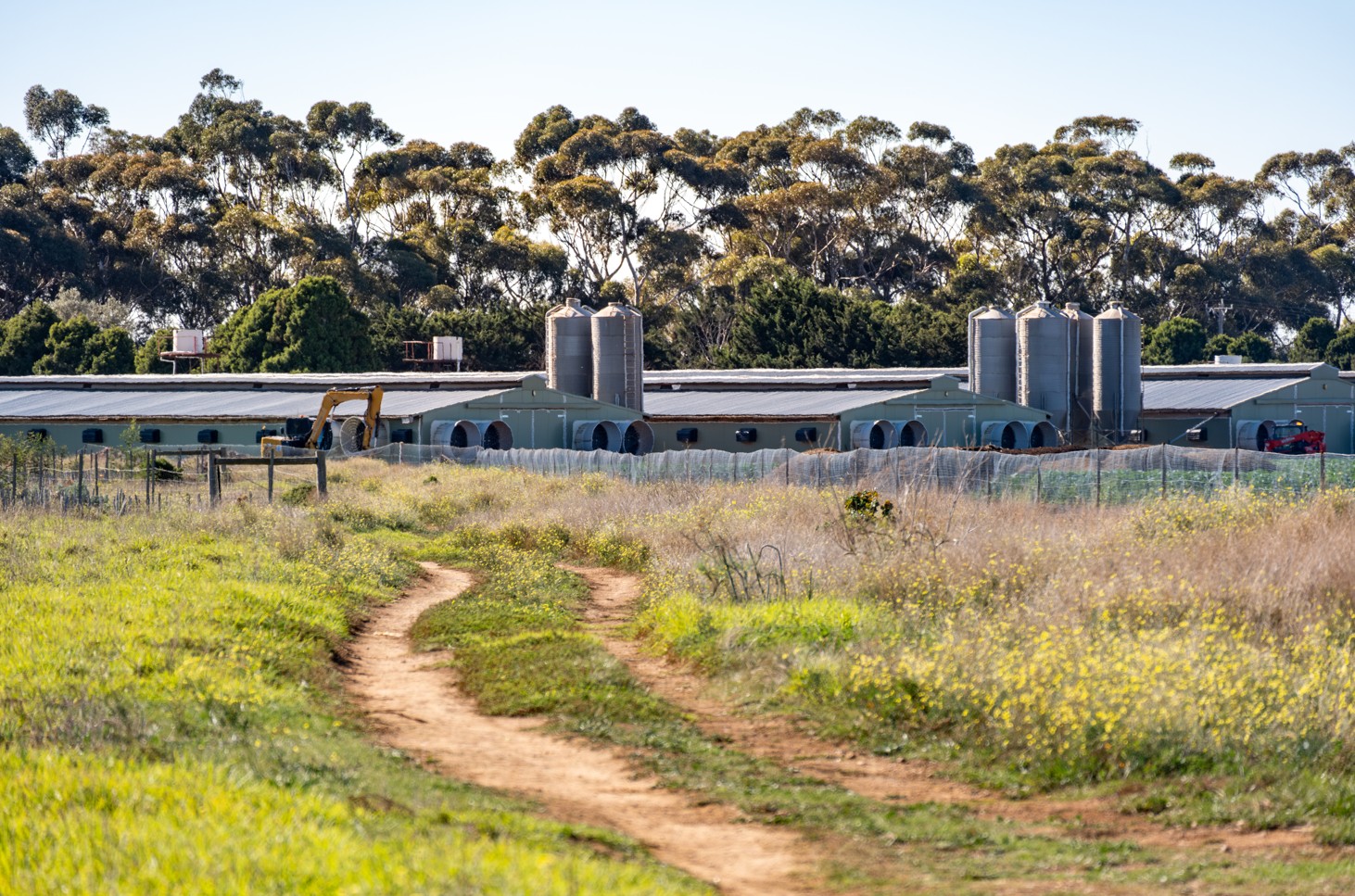 AU Grain farm