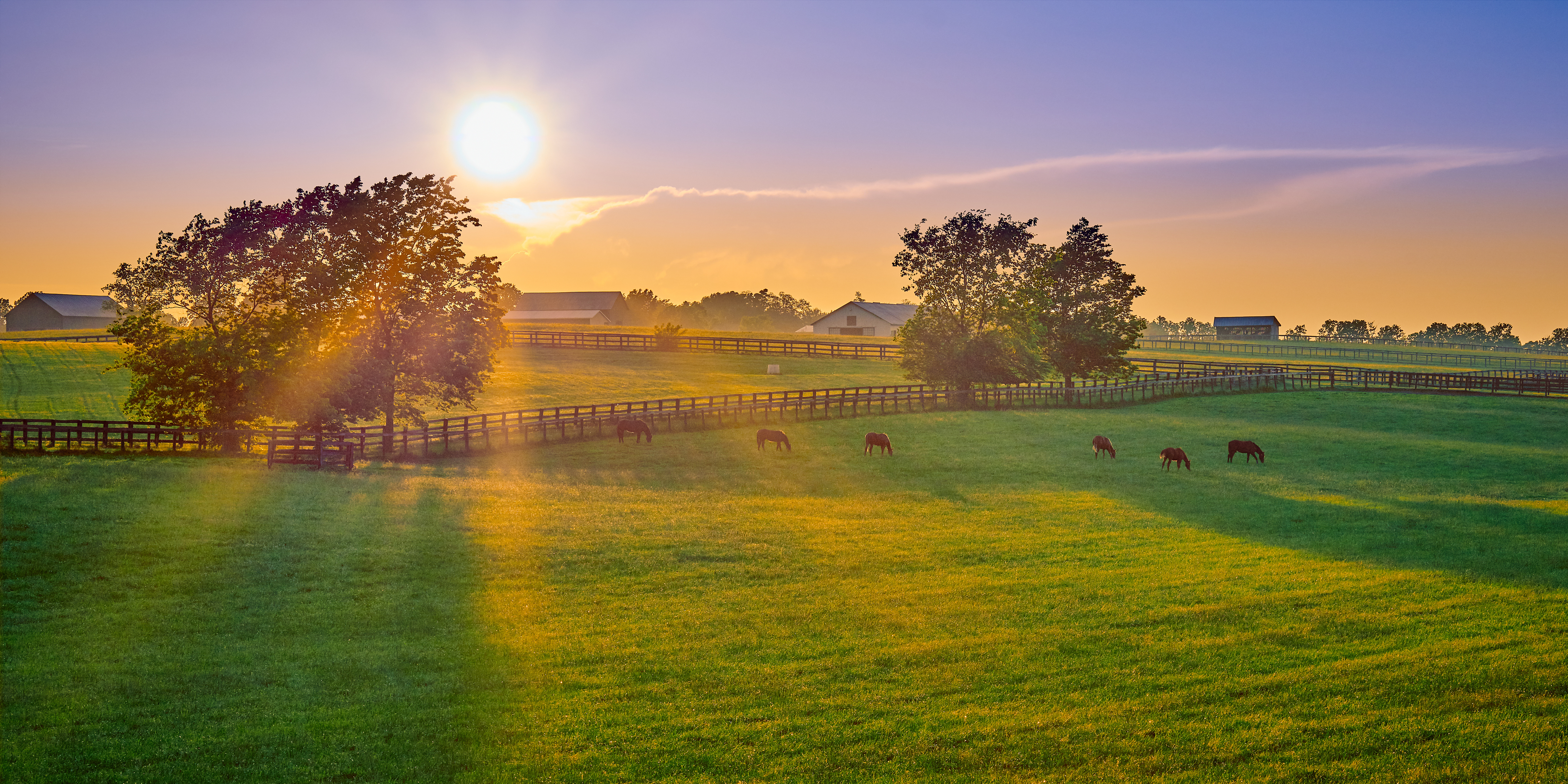 Sun shinning on a farm