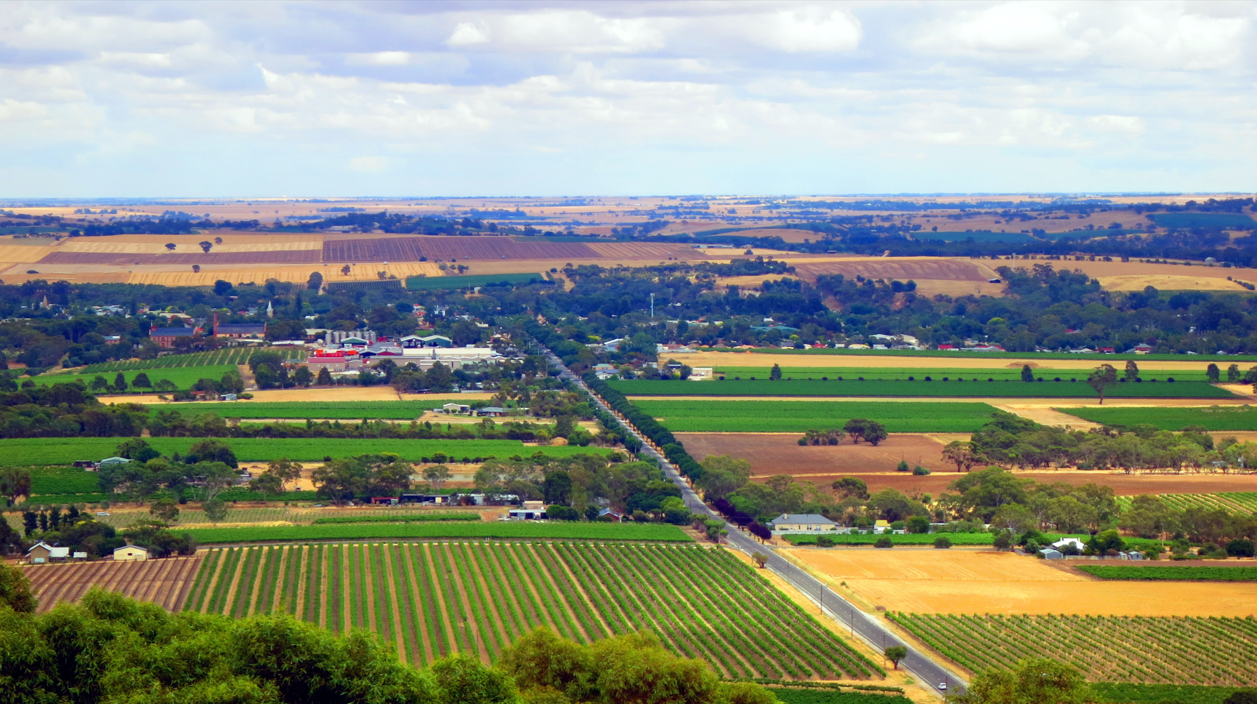 Generic landscape